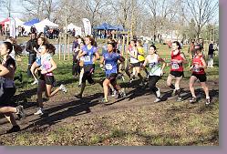 Begles 15.12.13 01 494 * 679 x 453 * (207KB)